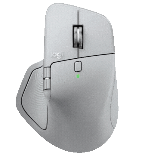Mouse